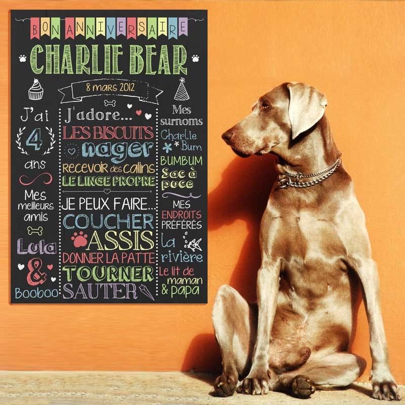 Affiche A Personnaliser Pour Fete Pour Chiens Fetes Pour Chiens